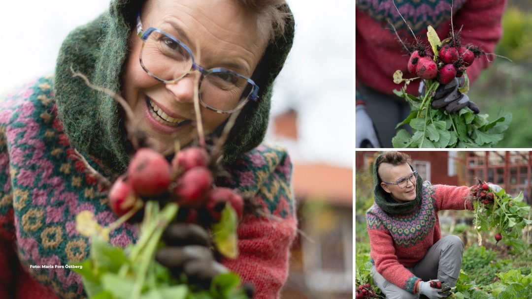 Sara Bäckmo: Odla kreativt i kris