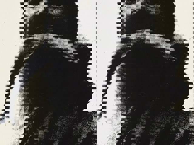 Bärsärk: Bengt Lindström