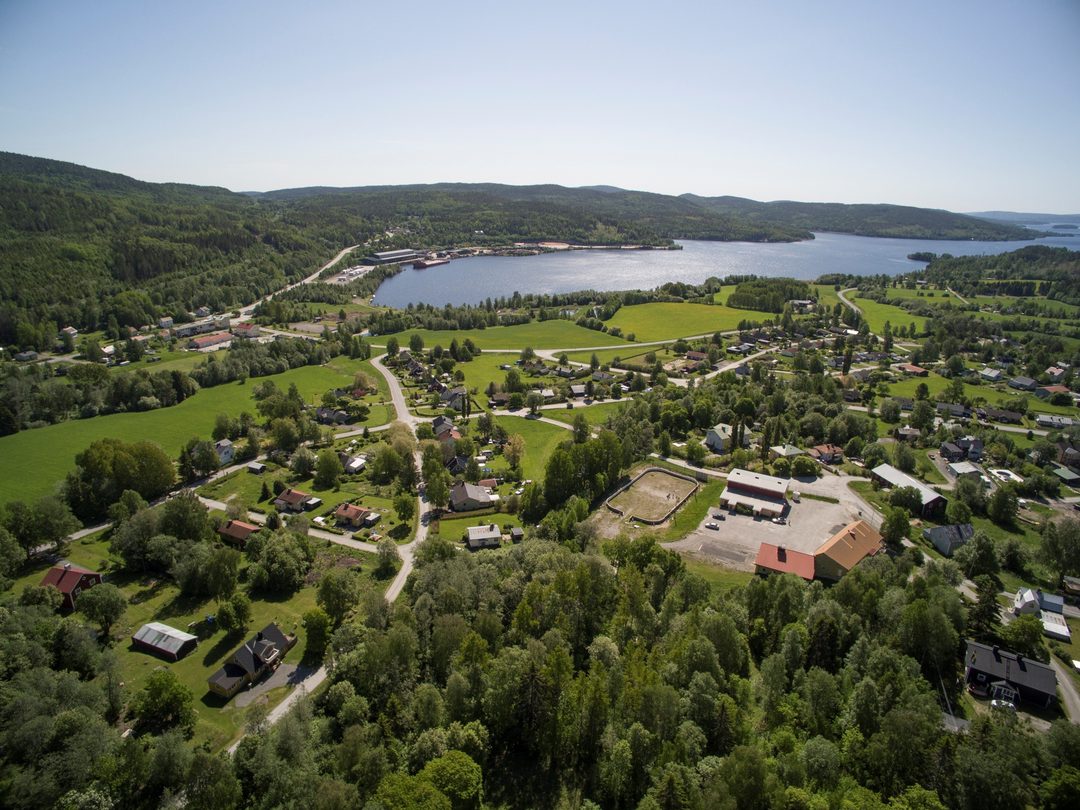 Lugnviksdagarna