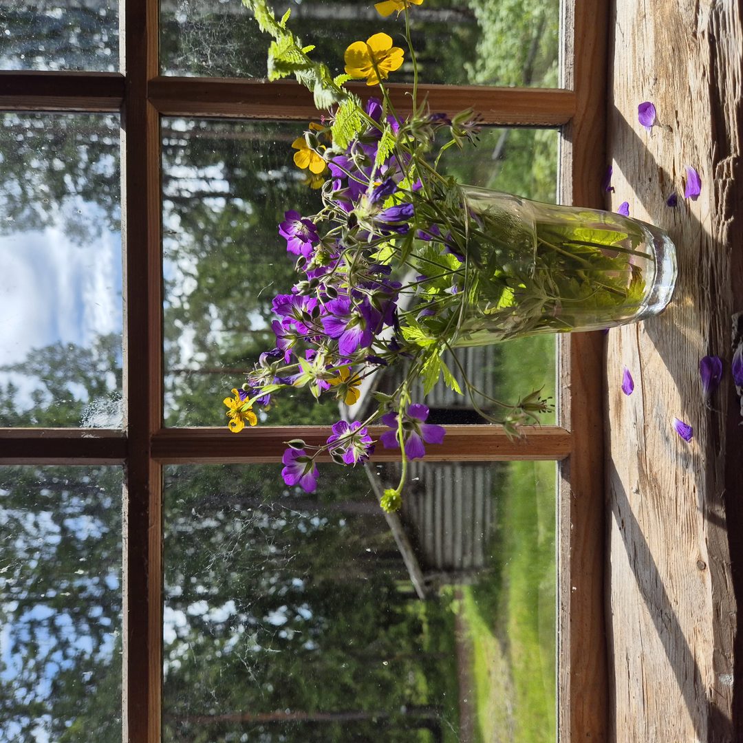 Sommarlov på museet!