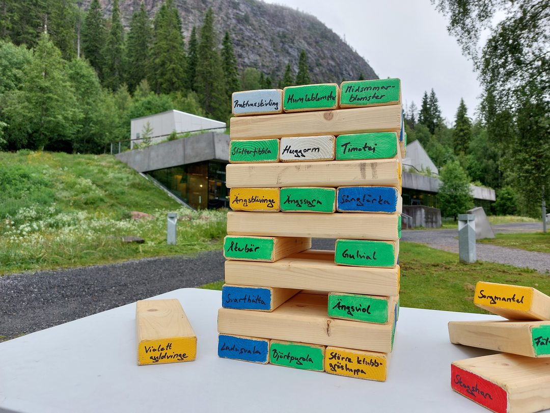 När kollapsar ett ekosystem?