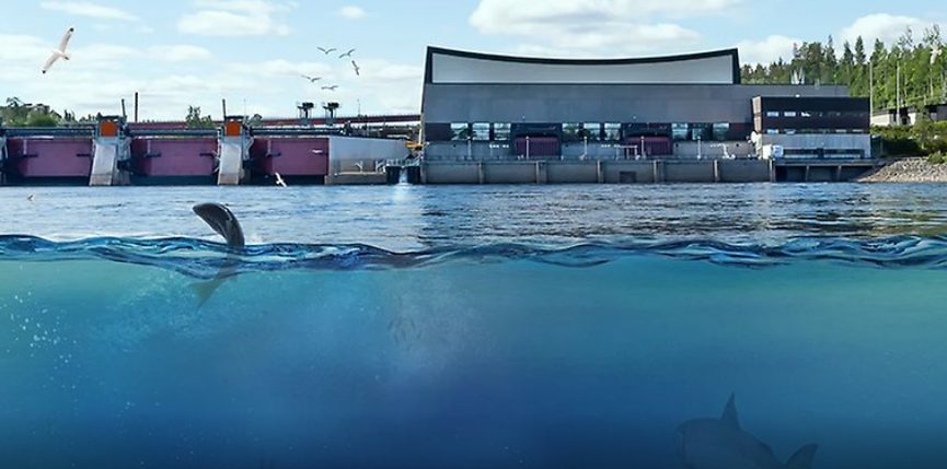Guidade turer Sollefteå Kraftverk