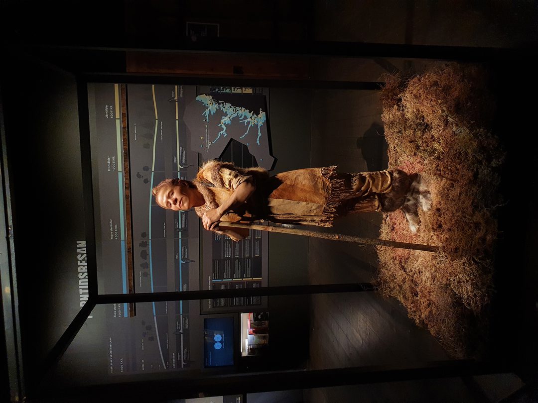 Guided tour: Prehistoric footsteps (Forntidsresan)