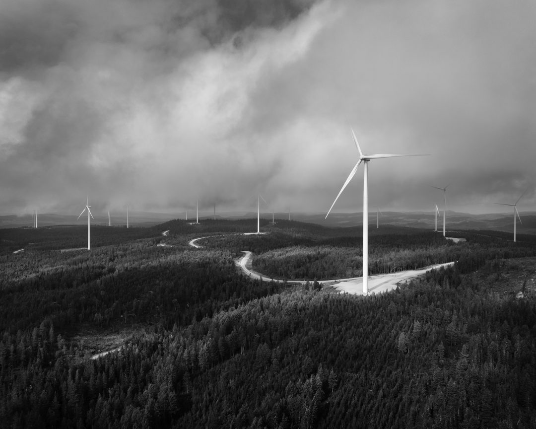 Visning av utställningen Kolonin