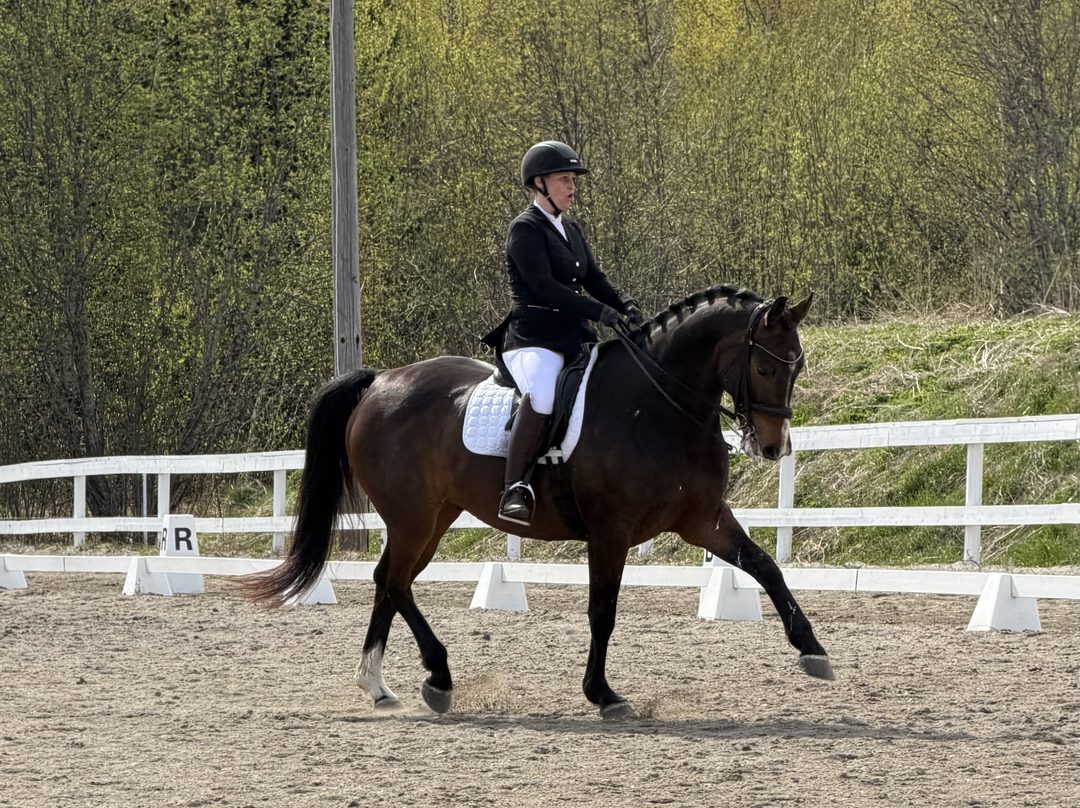Dressyrtävling - Höga Kusten Sportryttare